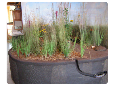 Prairie Display
