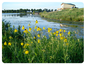 prairie