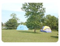 tent camping